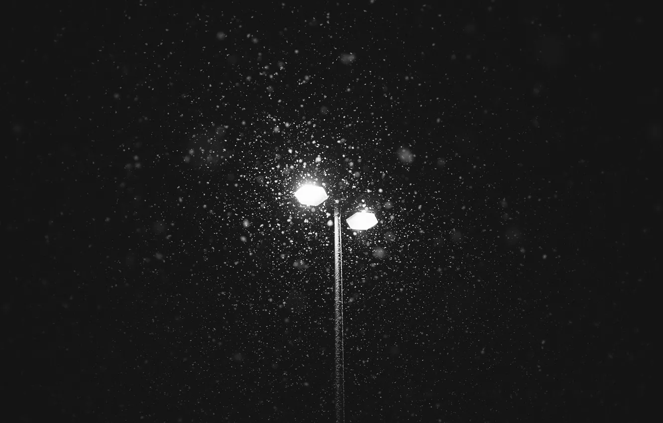Фото обои lights, winter, snowing, lamp post