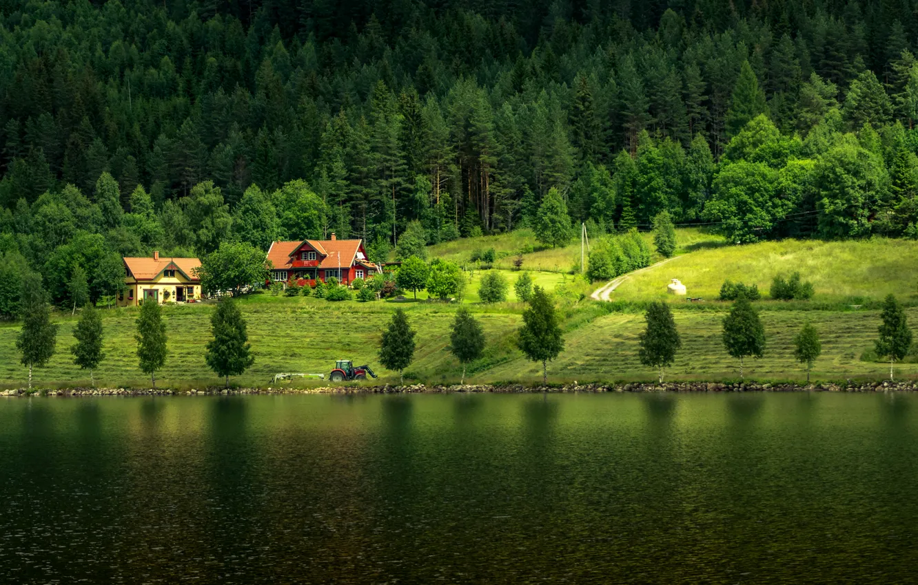 Фото обои Природа, Дома, Лес, Норвегия, Поля, Реки
