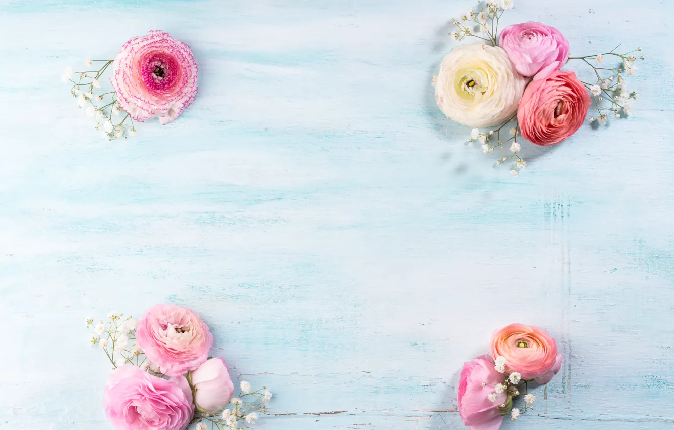 Фото обои цветы, розовые, бутоны, wood, азиатский лютик