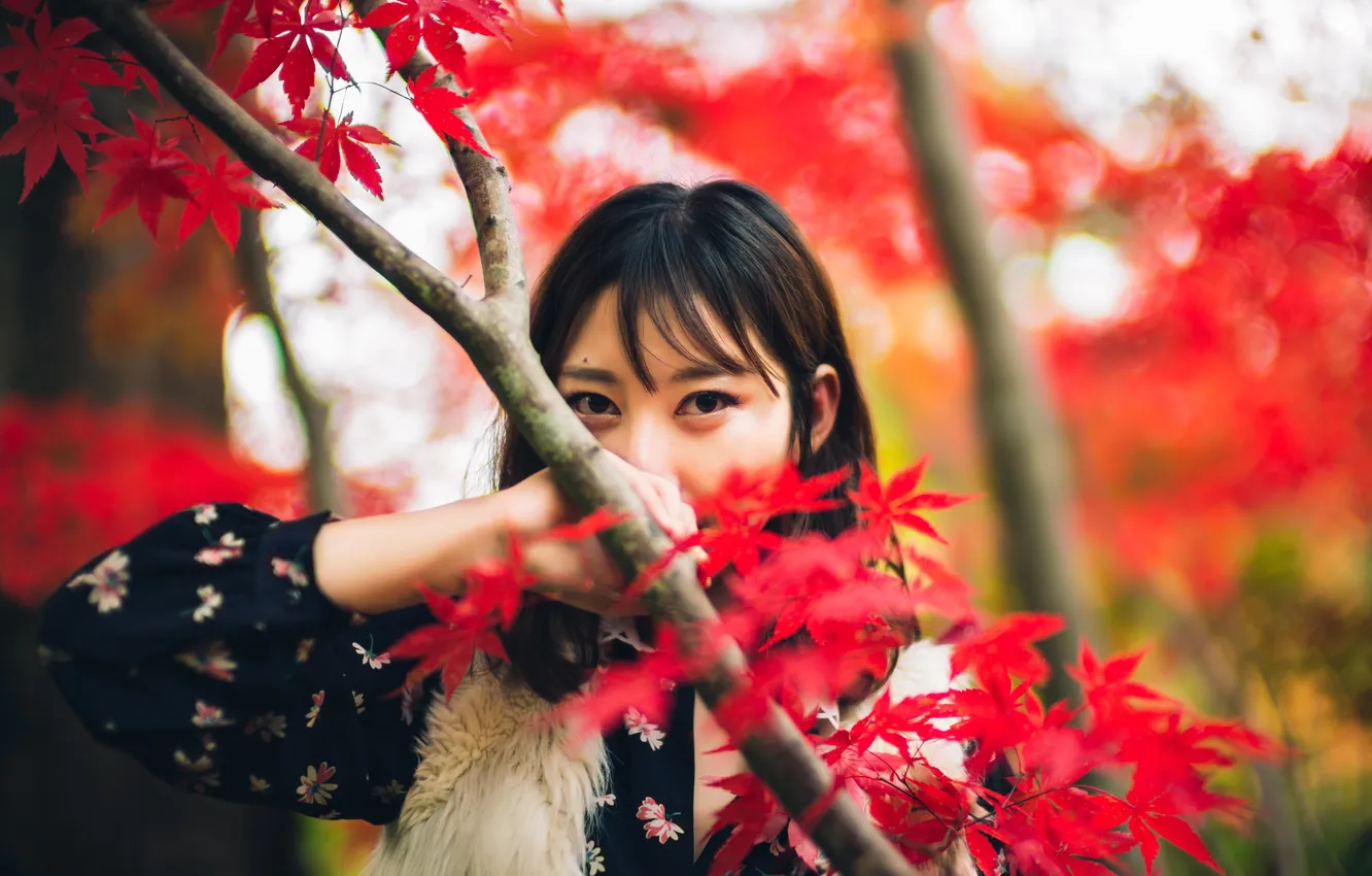 Фото обои осень, листья, девушка, дерево, ветви, волосы, боке, прямой взгляд