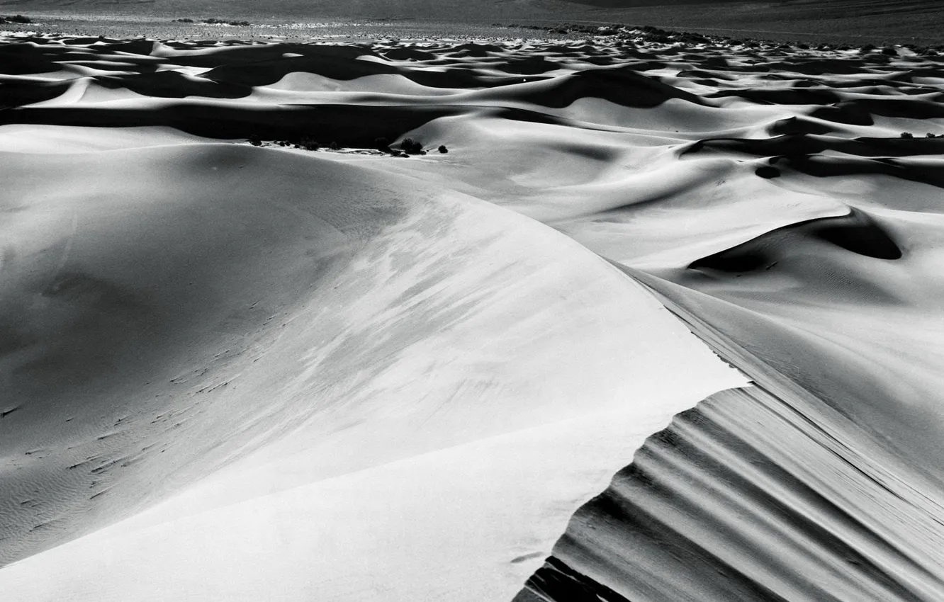 Фото обои песок, белое, пустыня, черное