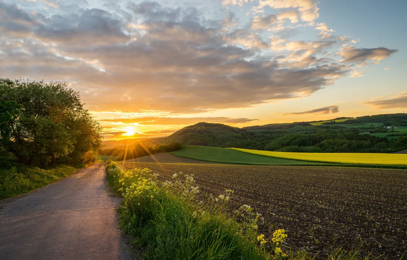 Фото обои дорога, поле, закат, Германия