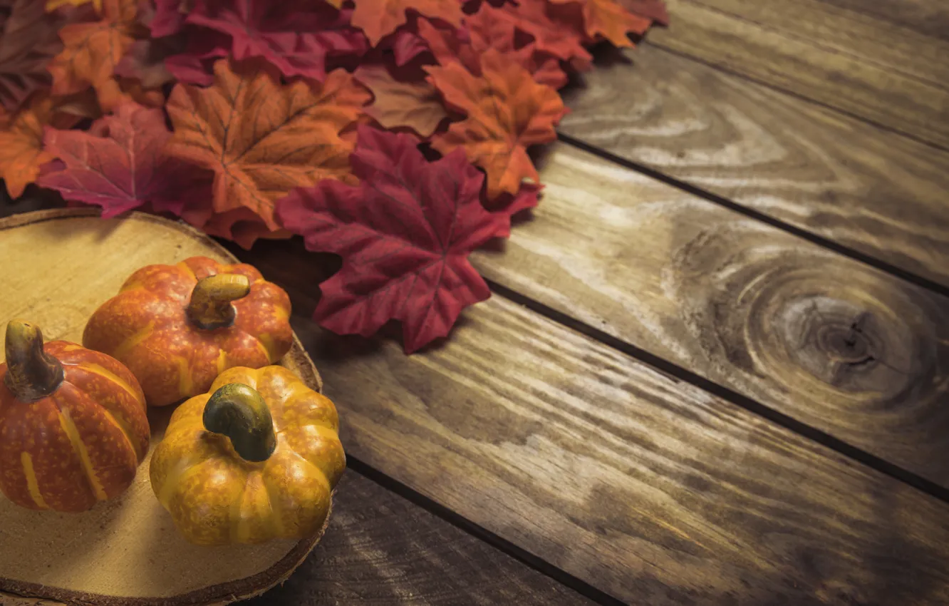 Фото обои осень, листья, фон, дерево, доски, colorful, тыква, клен, wood, background, autumn, leaves, осенние, pumpkin, maple