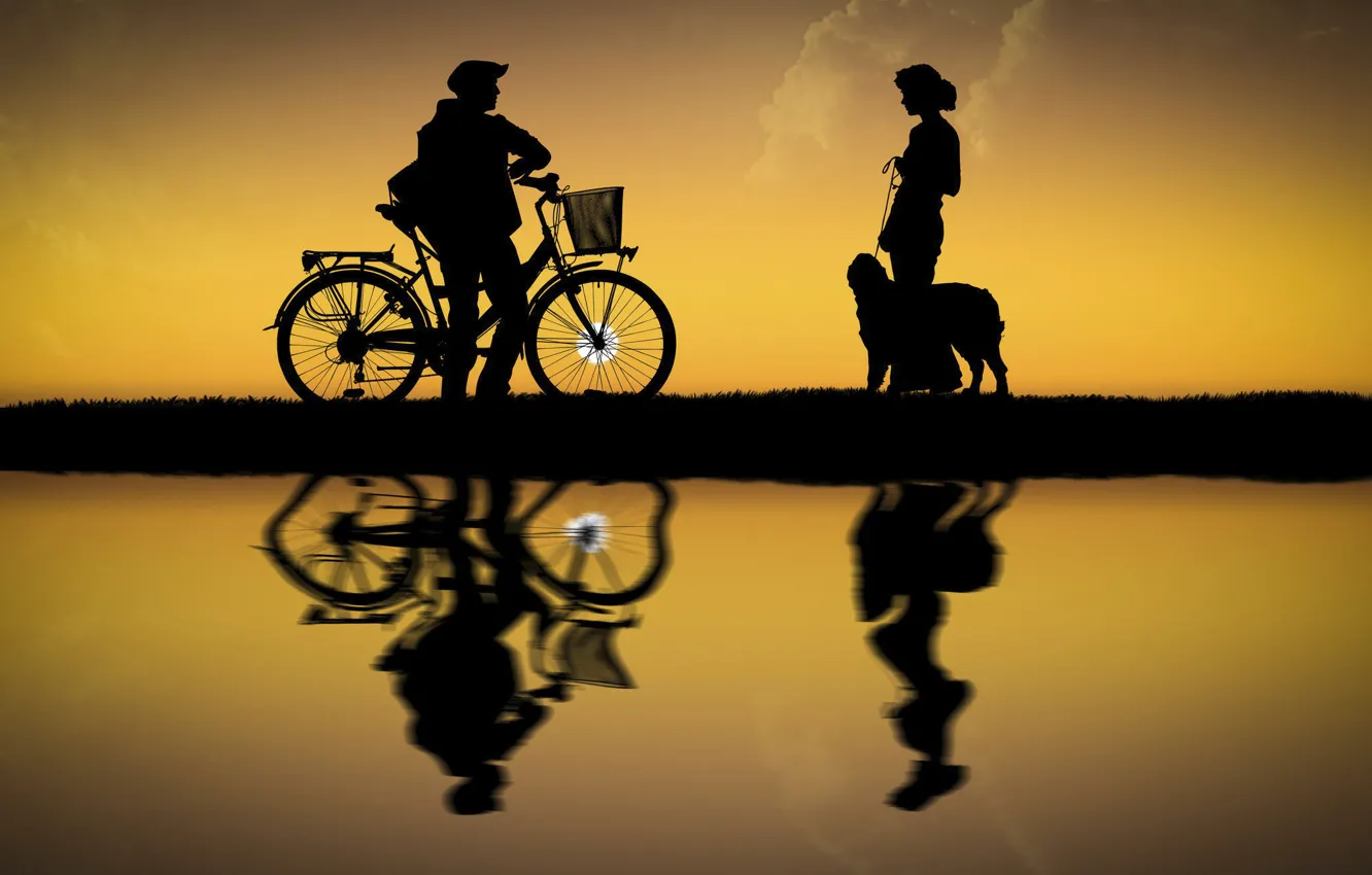 Фото обои девушка, солнце, велосипед, собака, парень, силуэты