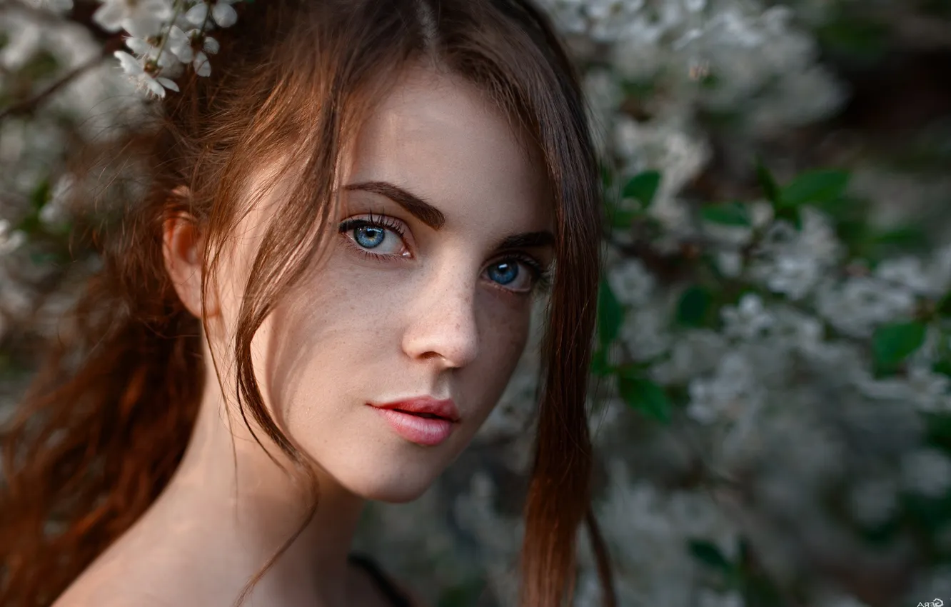 Фото обои beauty, redhead, look