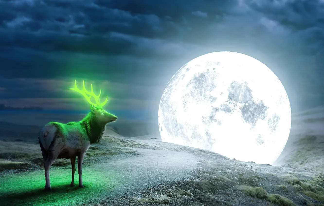 Фото обои Ночь, Луна, Олень, Moon, Фэнтези, Reno, Luna, Reindeer