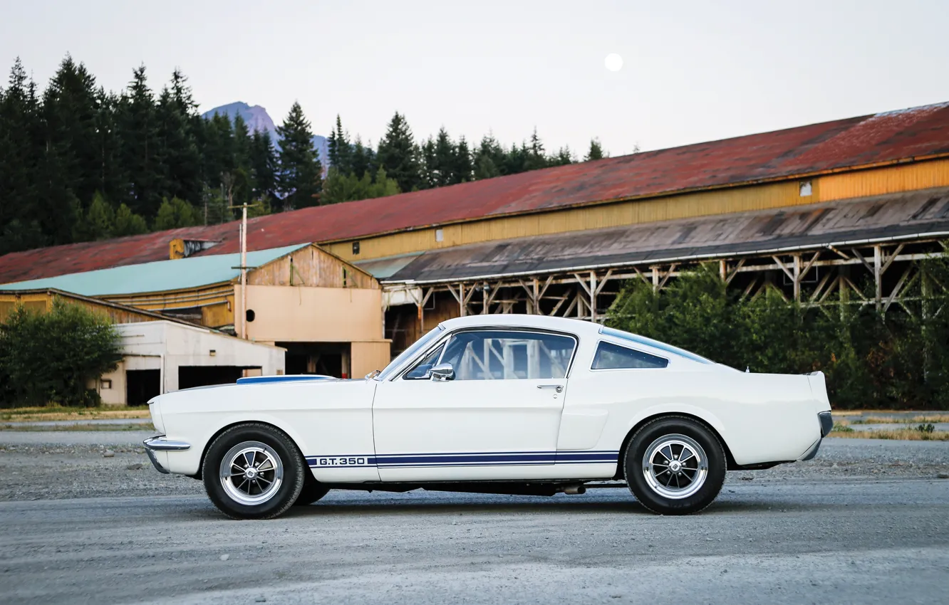 Фото обои Ford Mustang Shelby GT350, side view, Mustang, Ford