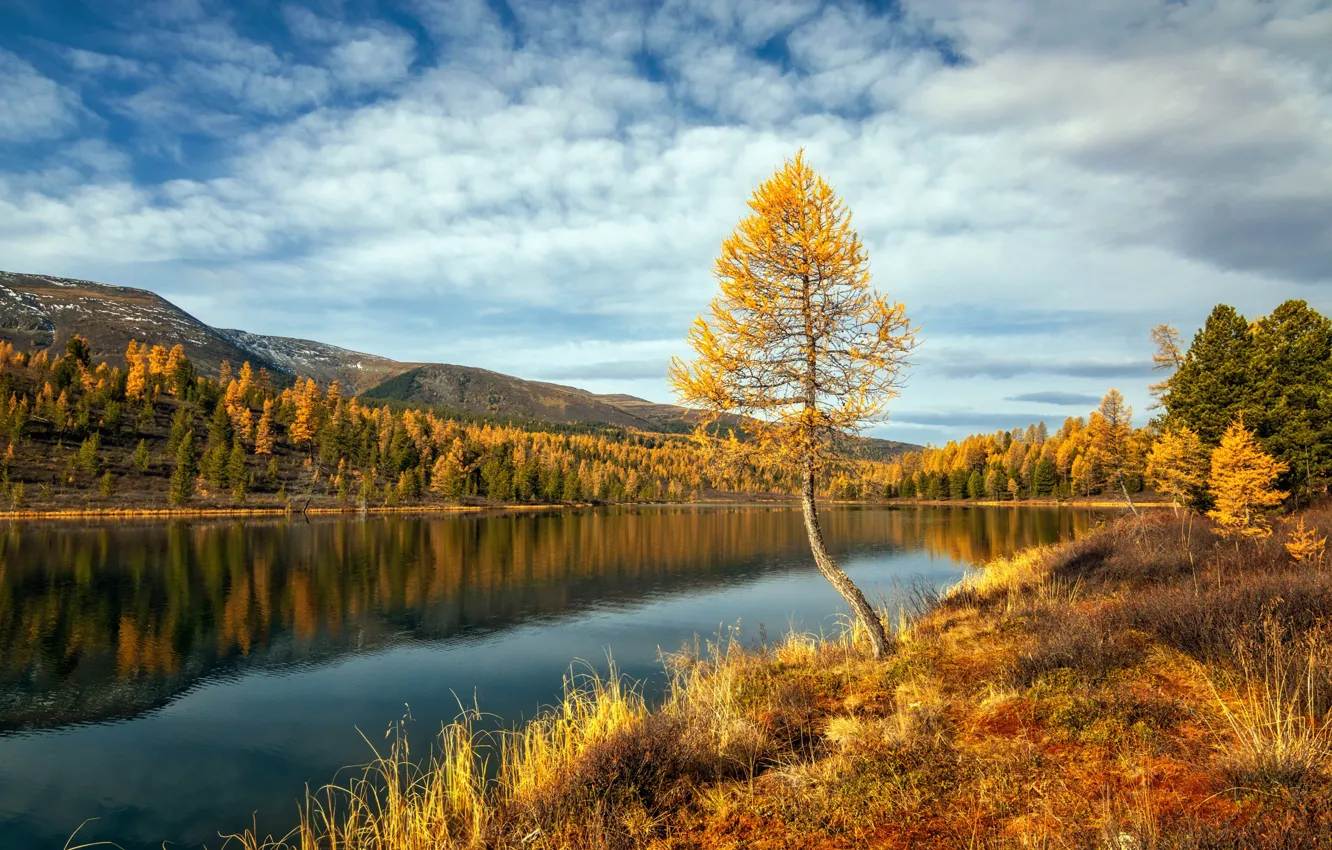 Фото обои осень, пейзаж, горы, природа, озеро, Казахстан, Кок-Коль