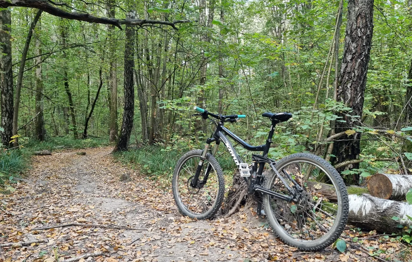 Фото обои Велосипед, Bike, MTB, Bicycle, Forest, Schwalbe, Trail, Kona