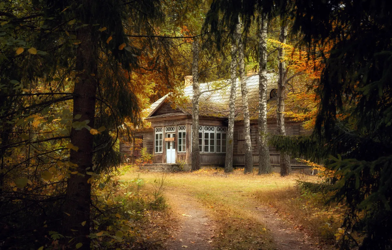 Фото обои осень, лес, природа, дом