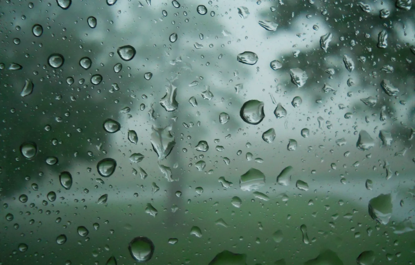Фото обои стекло, вода, капли, дождь