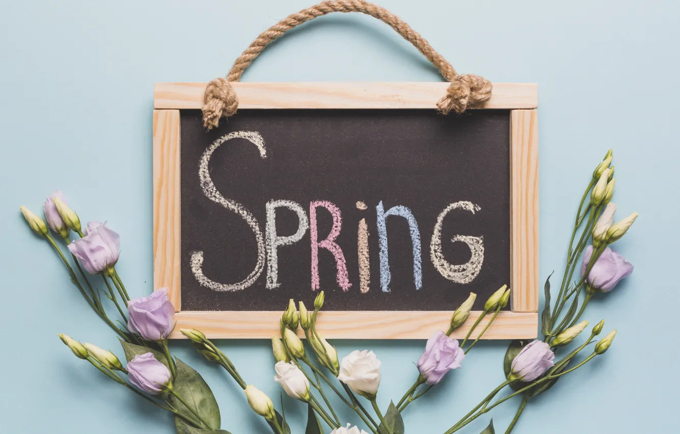 Фото обои цветы, весна, доска, бутоны, wood, flowers, spring, decoration