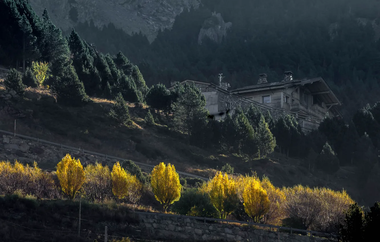 Фото обои осень, деревья, горы, дом, склон