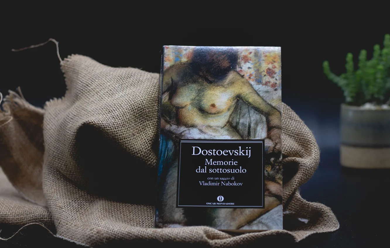 Фото обои грудь, темный фон, женщина, рисунок, книга, натюрморт, мешковина, Достоевский