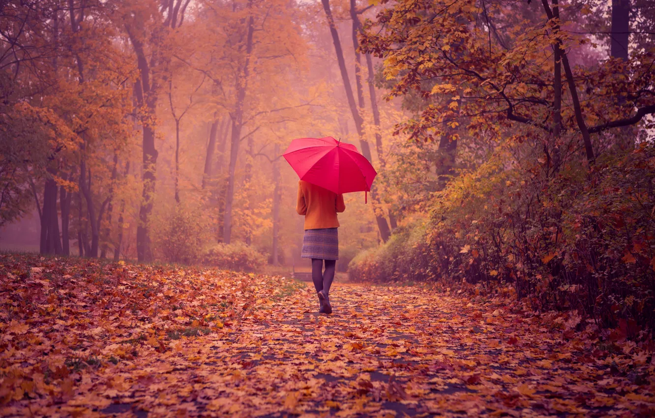 Фото обои дорога, осень, девушка, пейзаж, листва, спина, красный зонтик