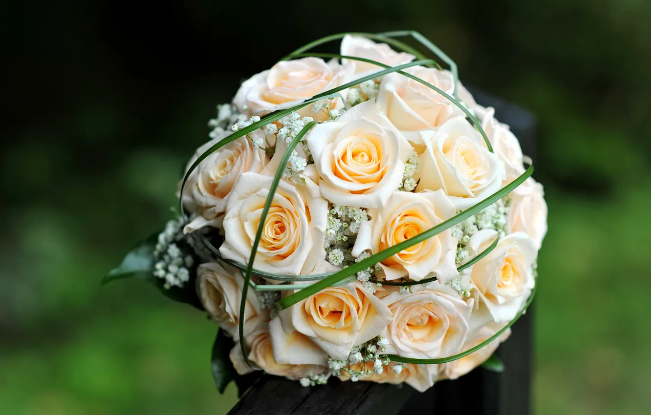 Фото обои цветы, розы, букет, желтые, бутоны, свадебный