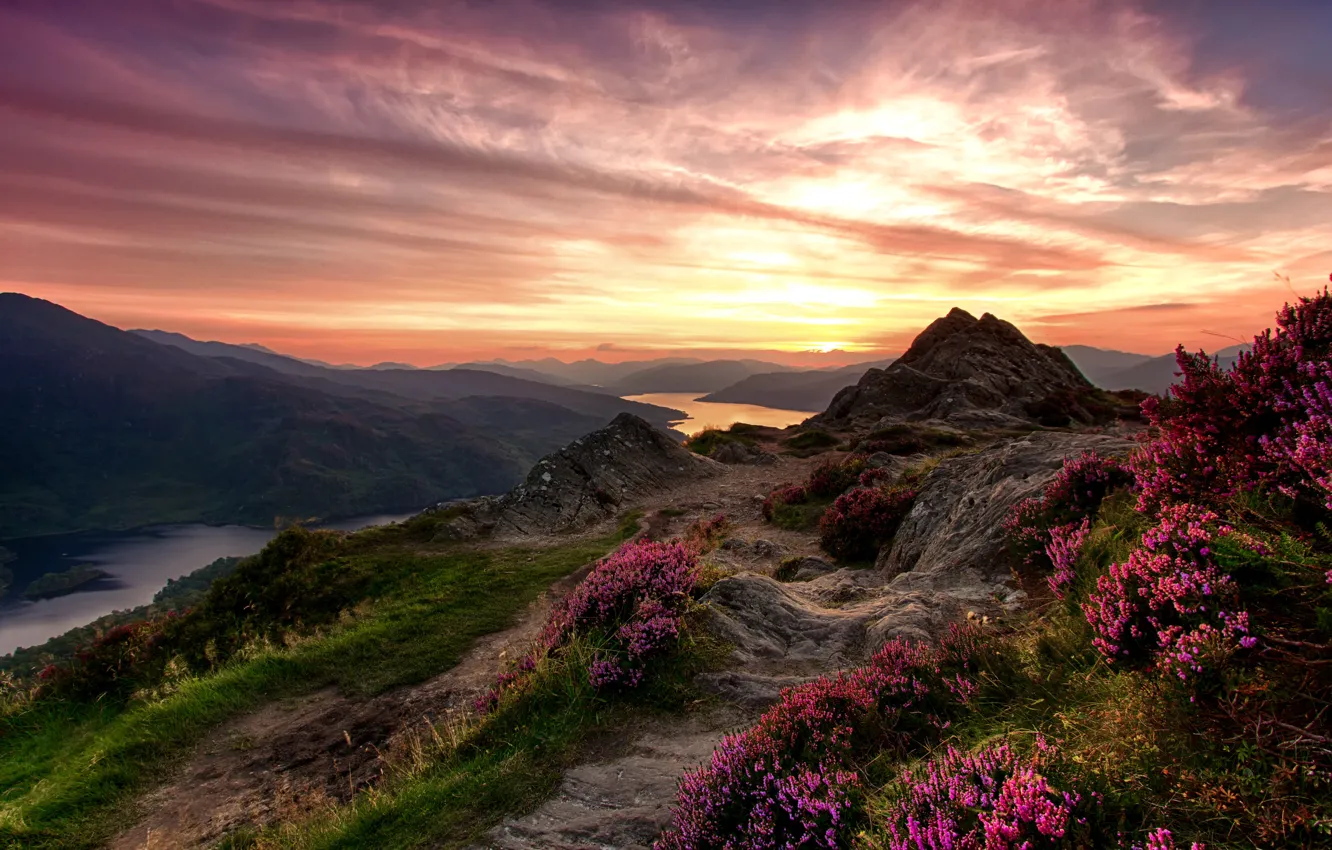Фото обои небо, трава, цветы, горы, река, камни, Шотландия, зарево