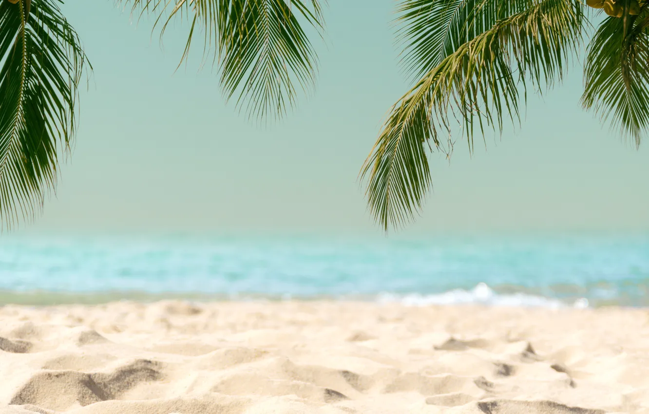 Фото обои песок, море, волны, пляж, лето, небо, пальмы, берег