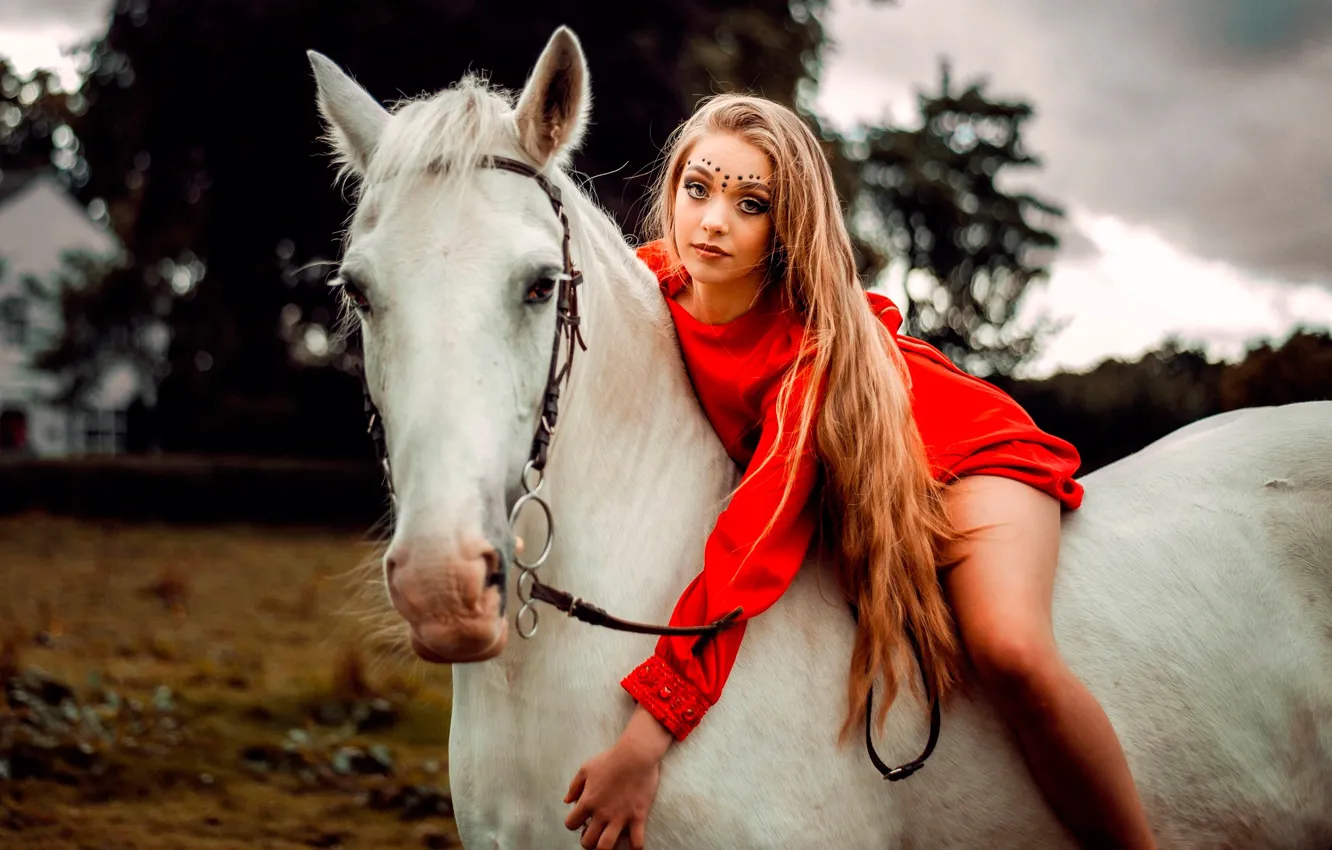 Фото обои девушка, поза, конь, портрет, макияж, платье, прическа, красотка