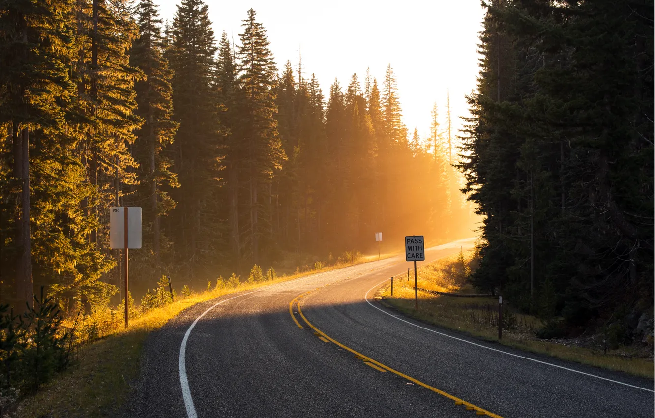 Фото обои дорога, лес, солнце, лучи, свет, деревья, путь, разметка