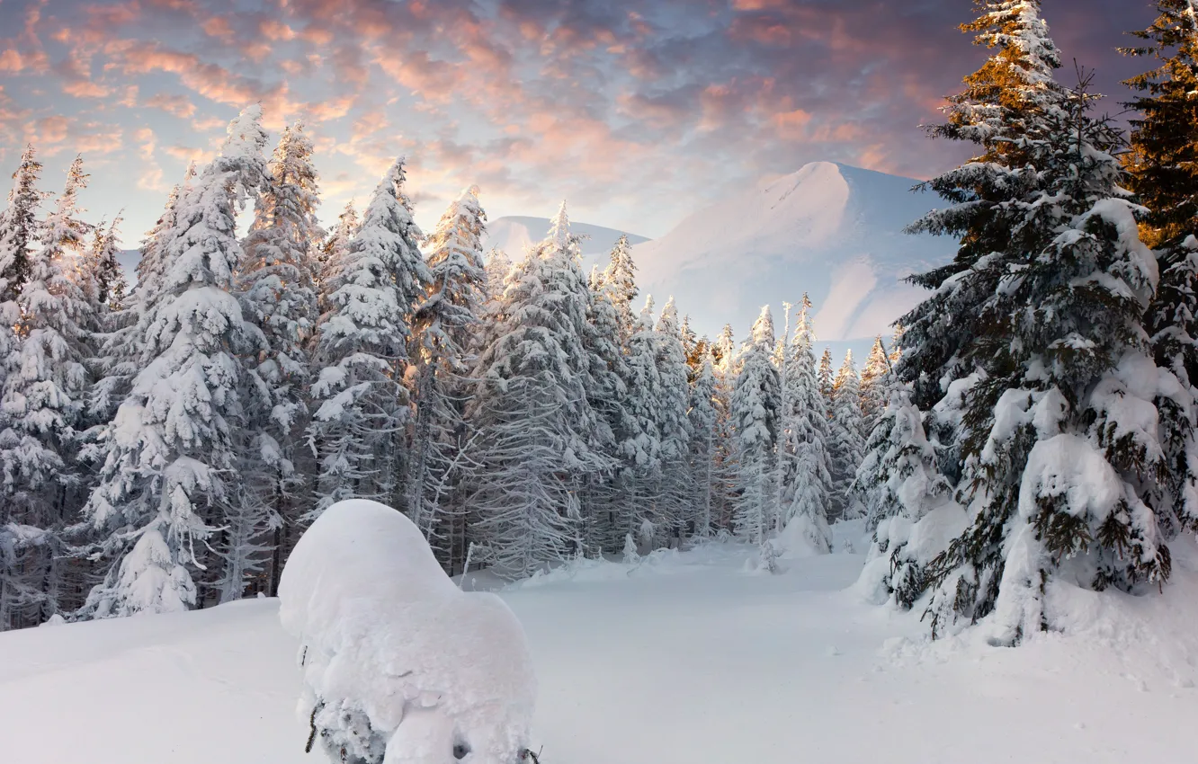 Фото обои зима, лес, облака, снег, горы, сугробы, ёлки
