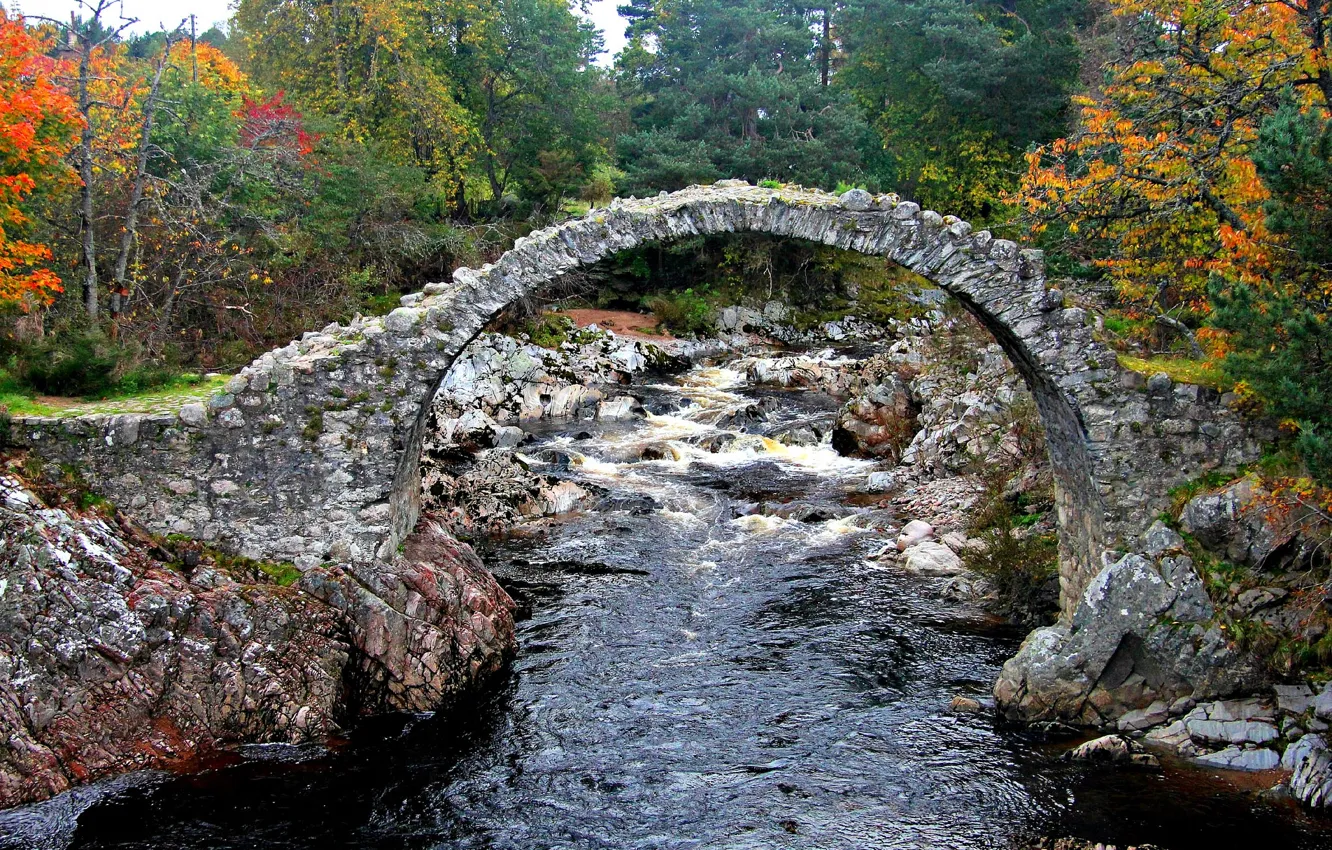 Фото обои осень, небо, деревья, мост, река, камни