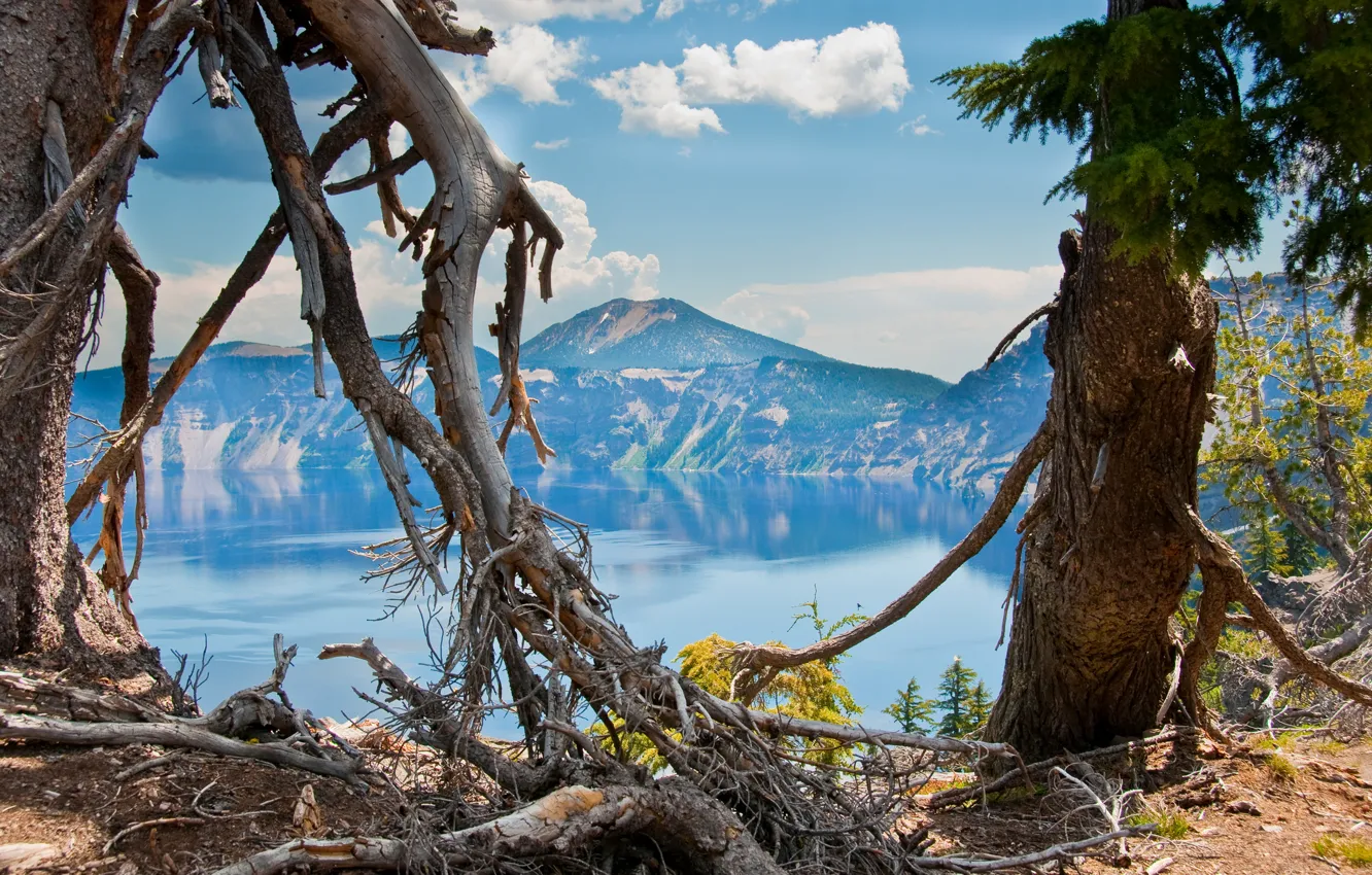 Фото обои небо, деревья, горы, природа, озеро, кратер, Oregon