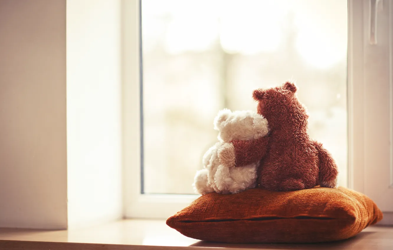 Фото обои любовь, игрушка, медведь, окно, мишка, пара, подушка, love