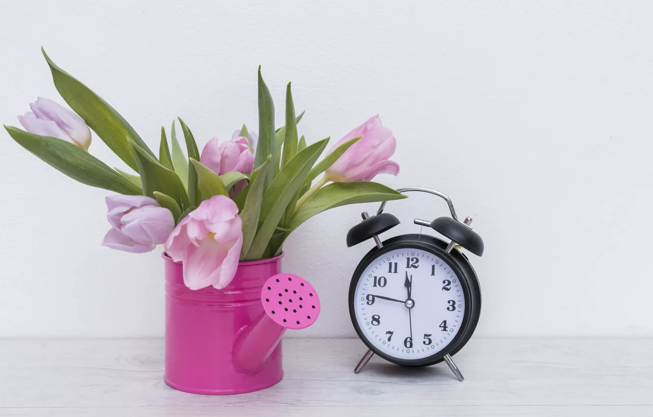 Фото обои цветы, букет, Тюльпаны, будильник, лейка