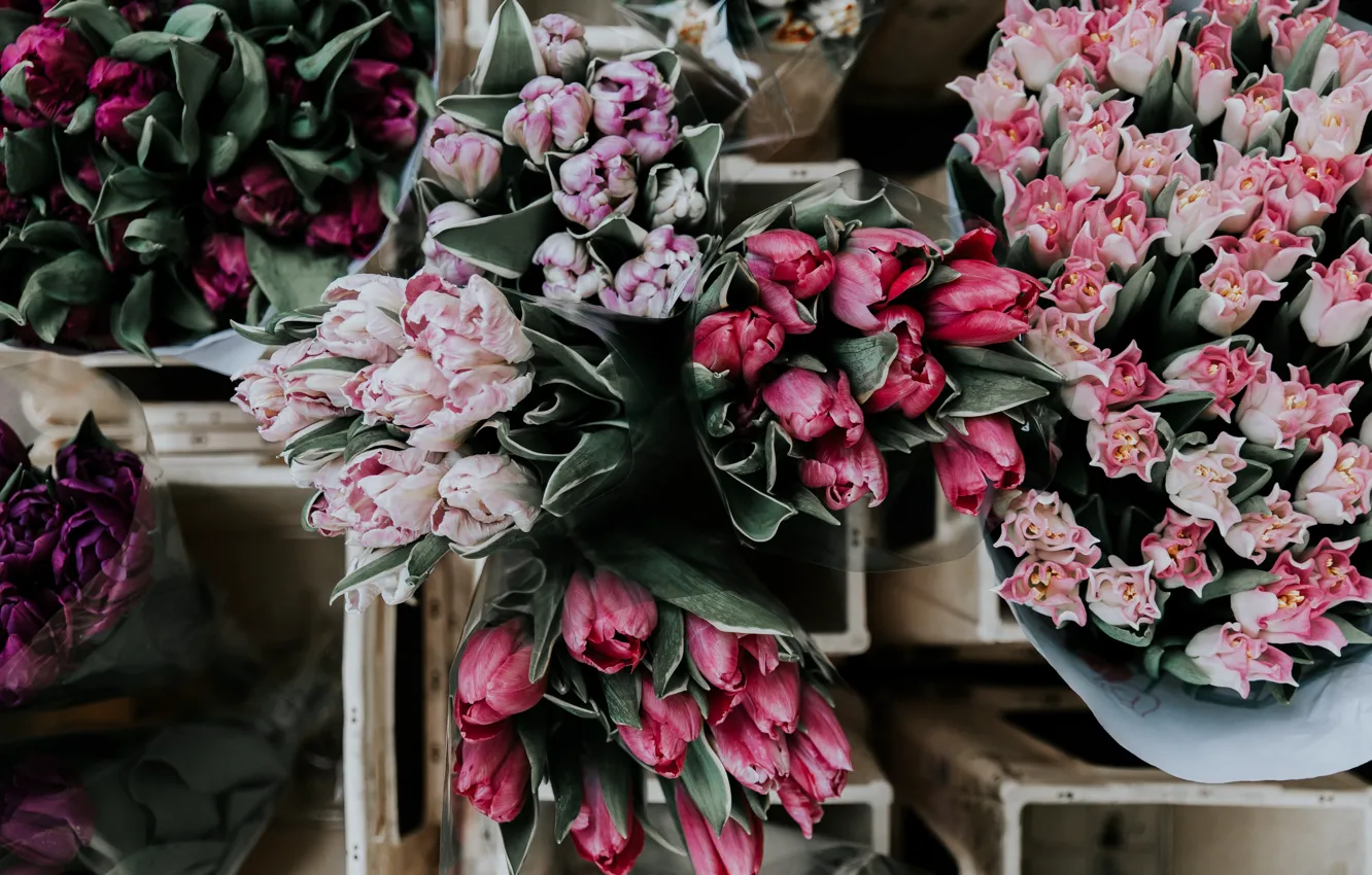 Фото обои цветок, цветы, букет, тюльпаны, flower, flowers, tulips, bouquet