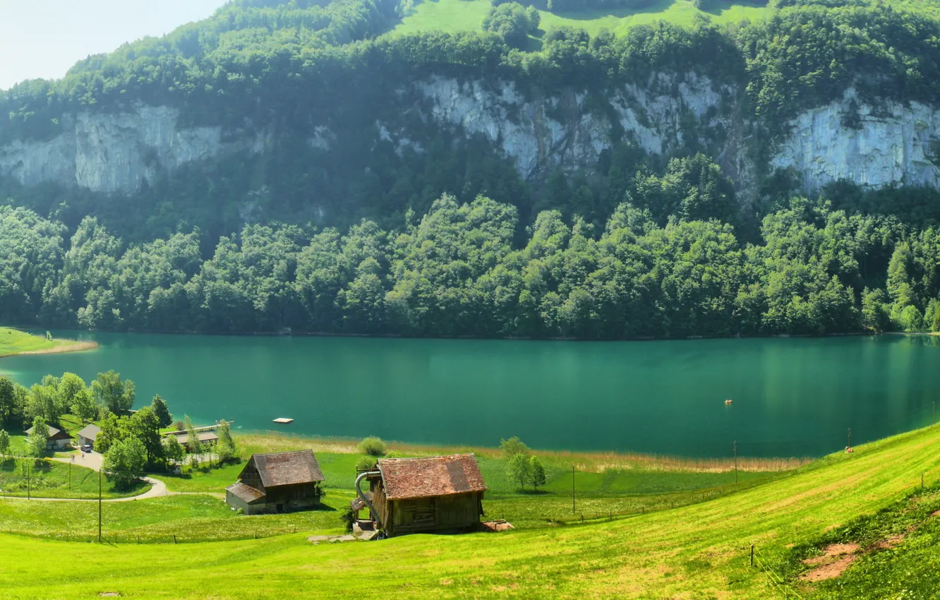 Фото обои трава, горы, река, поляна, Швейцария, домики, Switzerland, деревья.