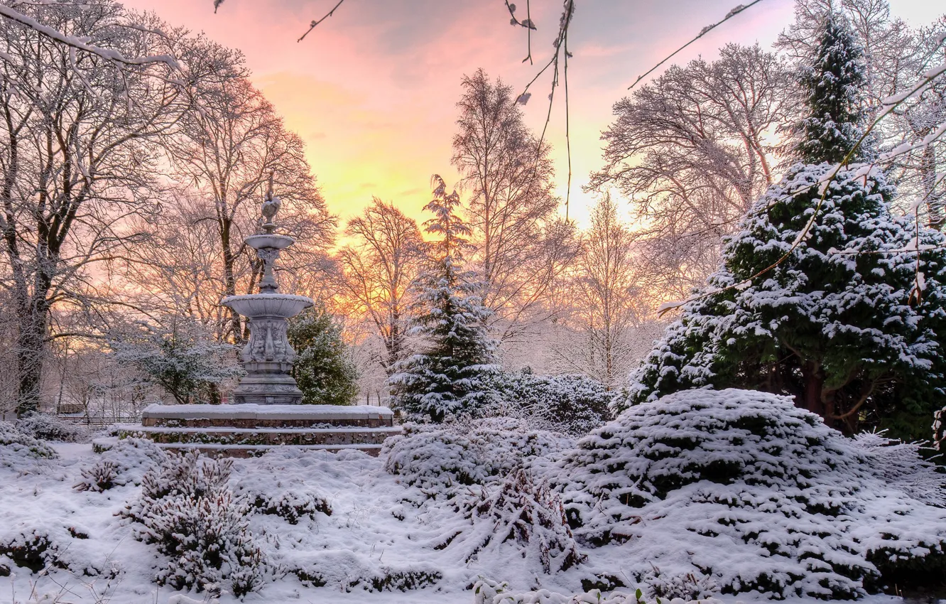 Фото обои зима, небо, снег, деревья, красиво, фонтан