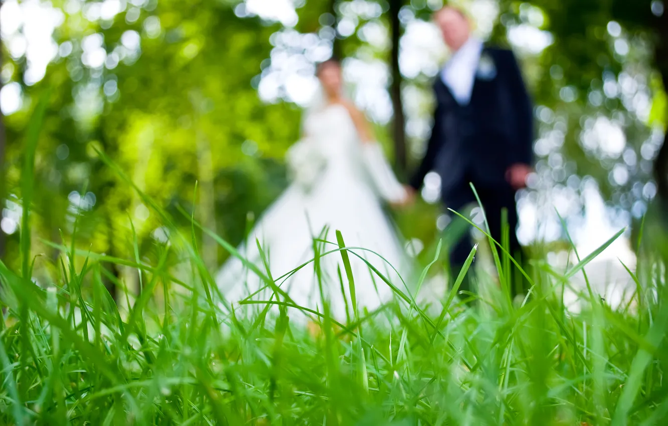 Фото обои зелень, трава, девушка, пара, парень, свадьба