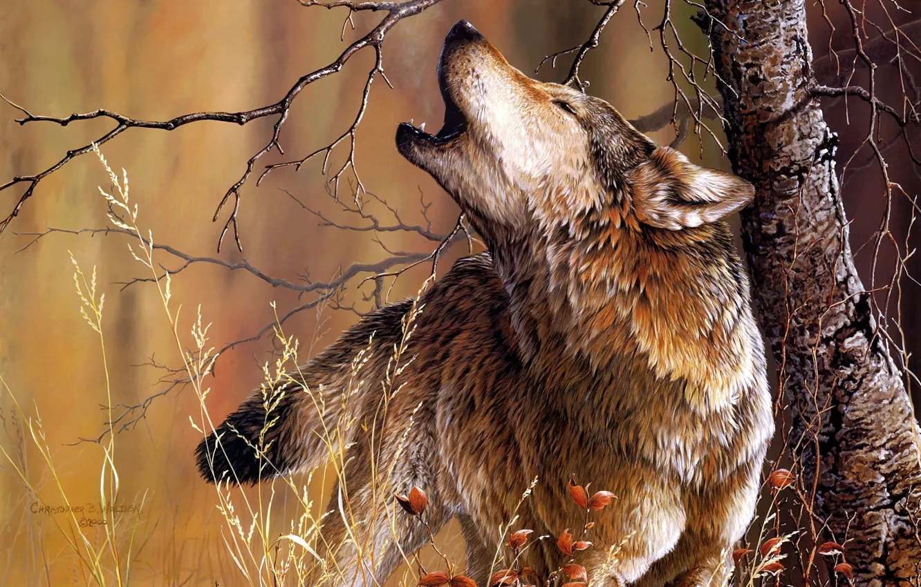 Фото обои дерево, волк, арт, Christoper B. Walden