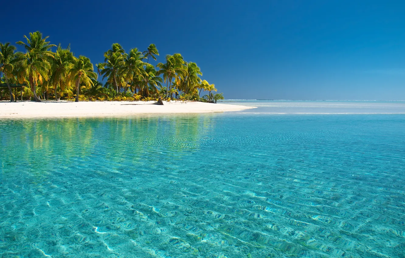 Фото обои море, пляж, пальмы, тихий океан, острова Кука, вода прозрачность, остров Aitutaki