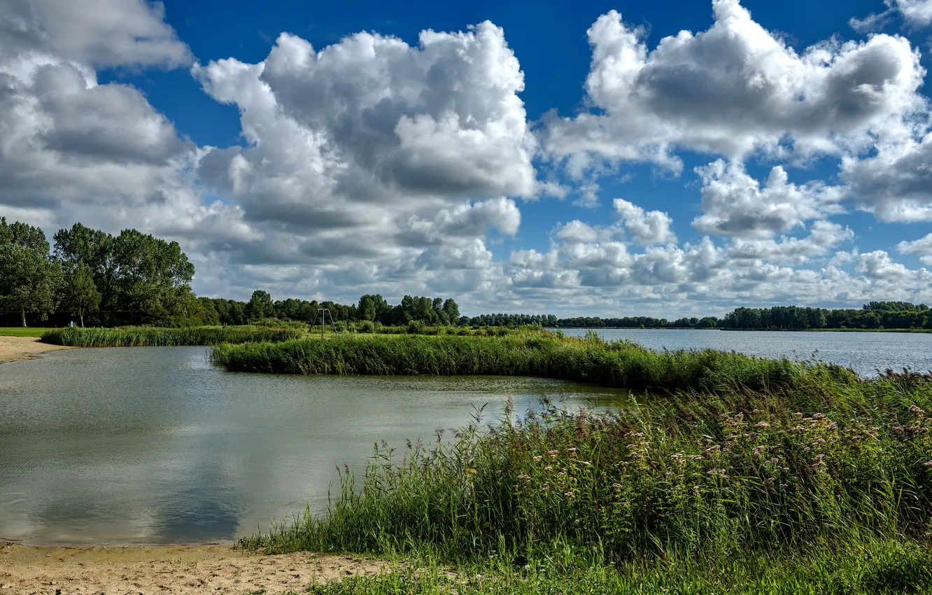 Фото обои песок, небо, трава, облака, деревья, река, камыши, Нидерланды