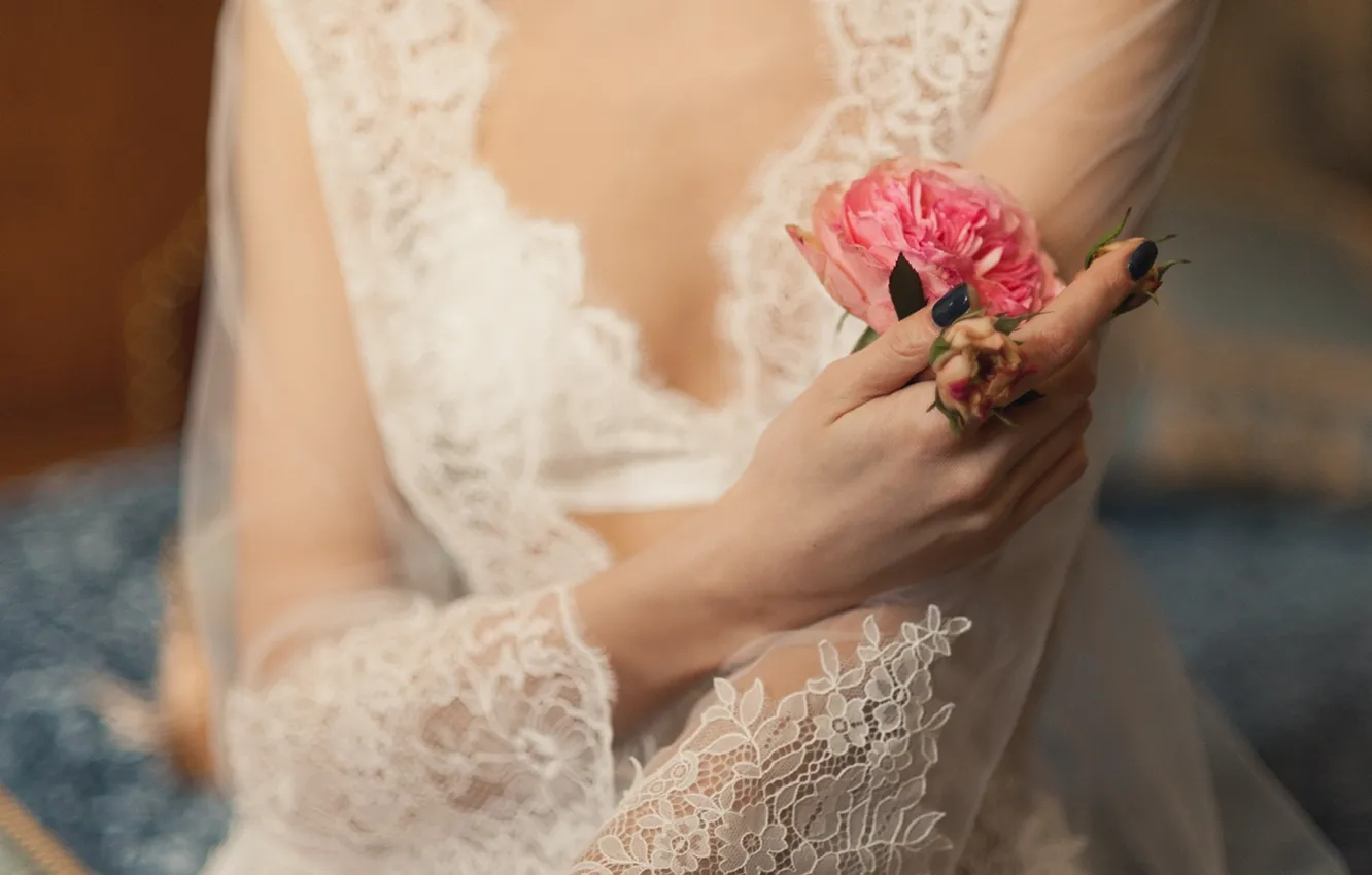 Фото обои цветы, роза, руки, невеста