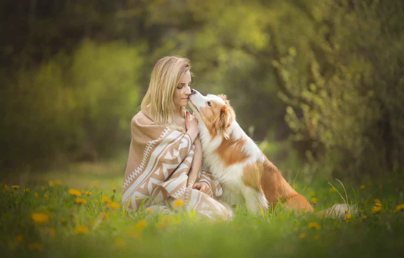 Фото обои трава, девушка, цветы, настроение, собака, весна, дружба, плед