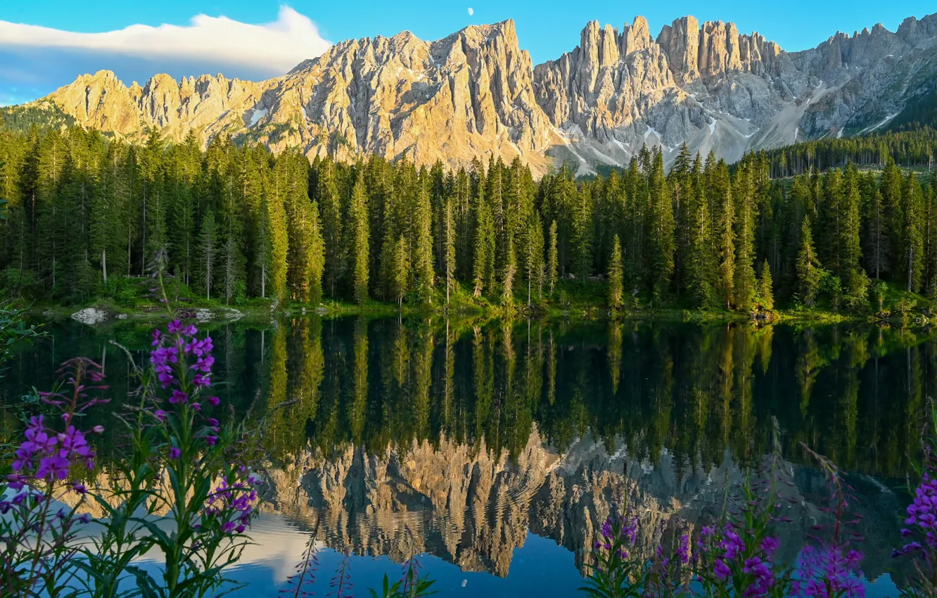 Фото обои лес, цветы, горы, озеро, отражение, Италия, Italy, Доломитовые Альпы