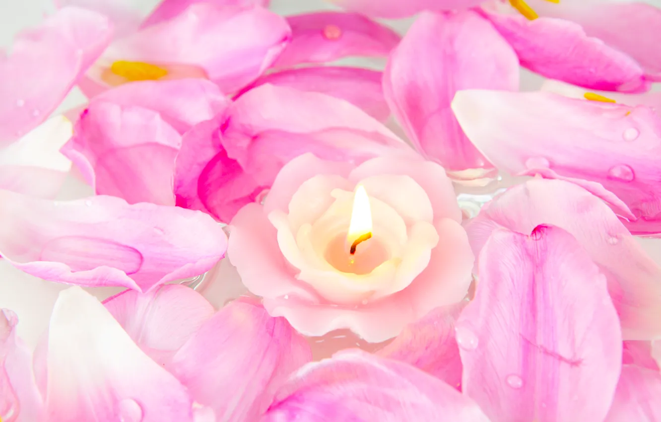 Фото обои цветы, розы, свеча, лепестки, розовые