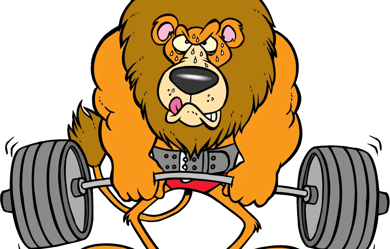 Фото обои сила, лев, арт, muscle, мышцы, штанга, Lion, Weights