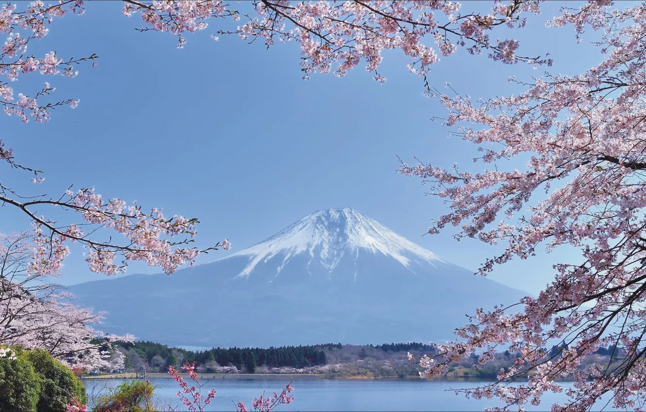 Фото обои пейзаж, красота, весна, Япония, Азия, Japan, landscape, beautiful