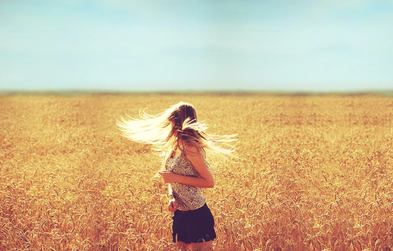 Фото обои поле, небо, девушка, свет, волосы, блондинка, light, girl