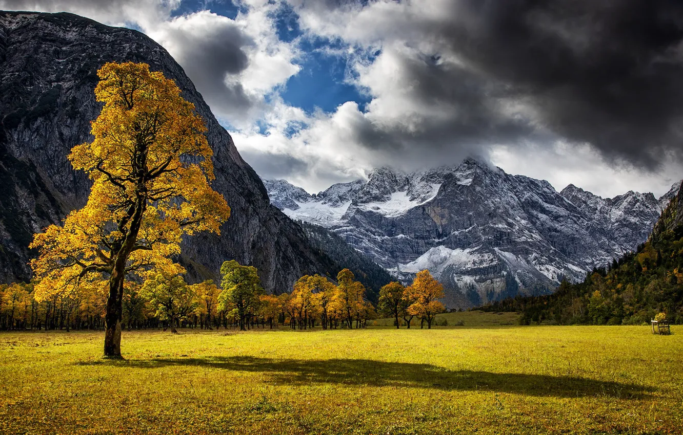 Фото обои поле, осень, лес, небо, облака, свет, снег, горы