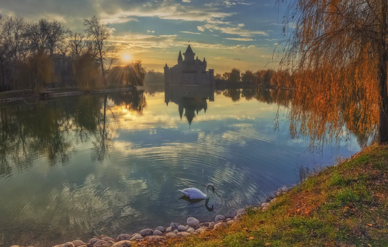 Фото обои осень, солнце, лучи, пейзаж, природа, озеро, замок, птица