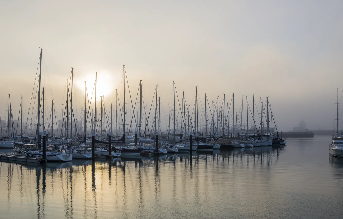 Фото обои туман, лодки, порт