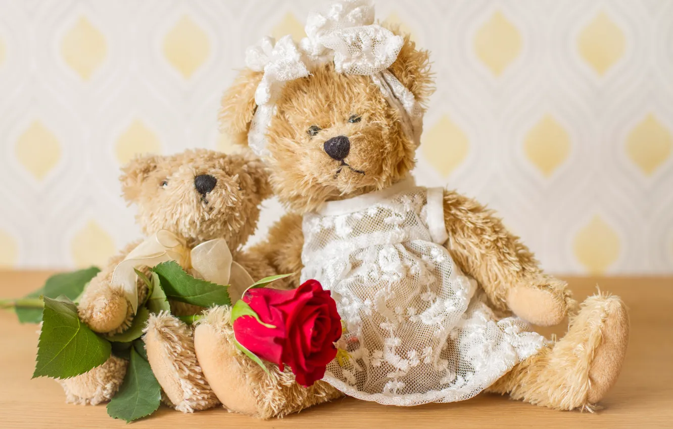 Фото обои цветок, игрушки, роза, медведи, плюшевые мишки
