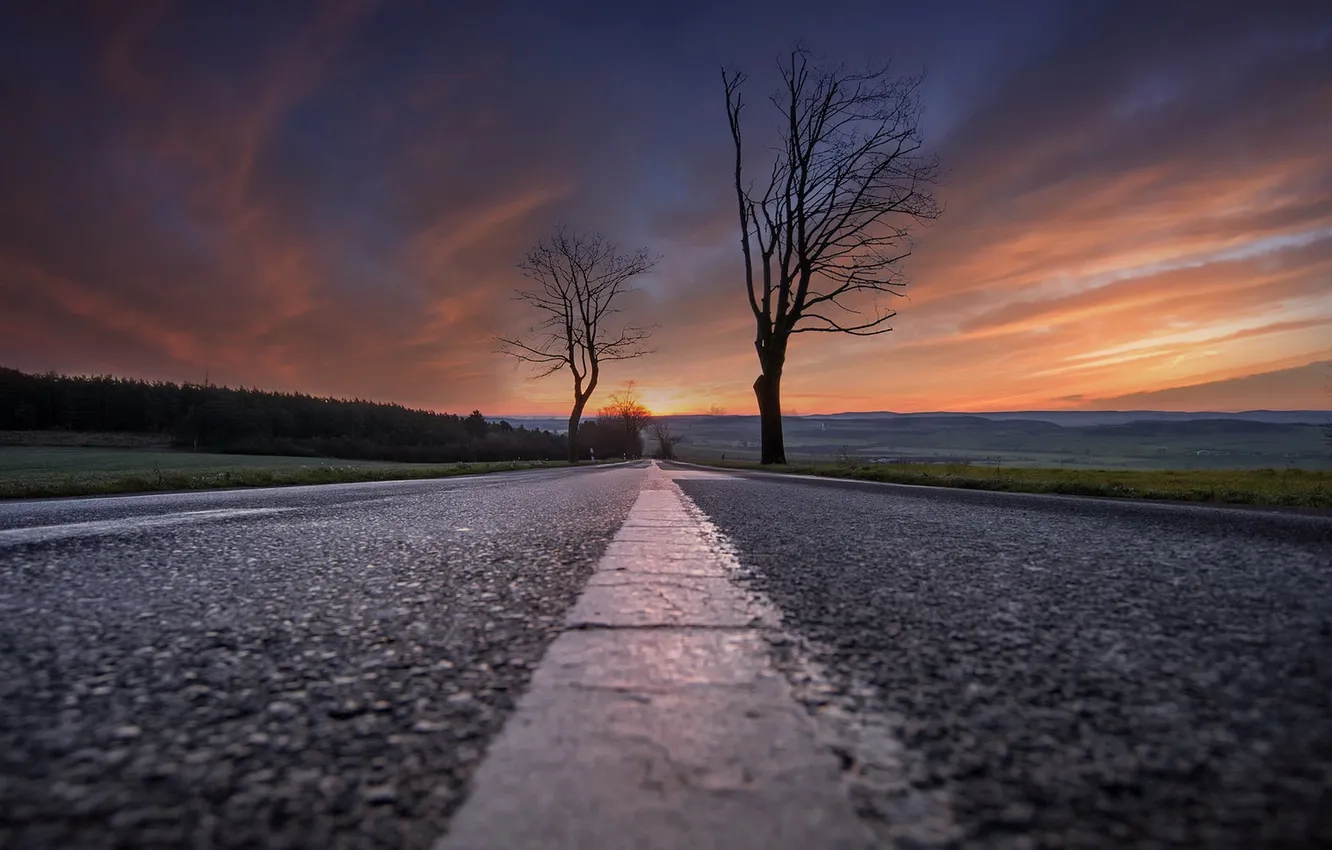 Фото обои дорога, деревья, закат