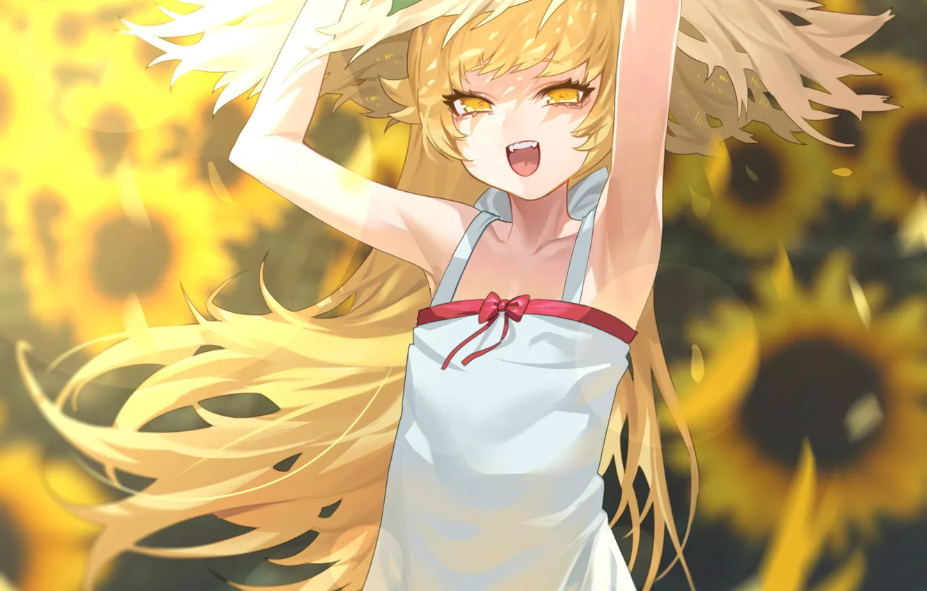 Фото обои лето, девушка, подсолнухи, Bakemonogatari, Oshino Shinobu