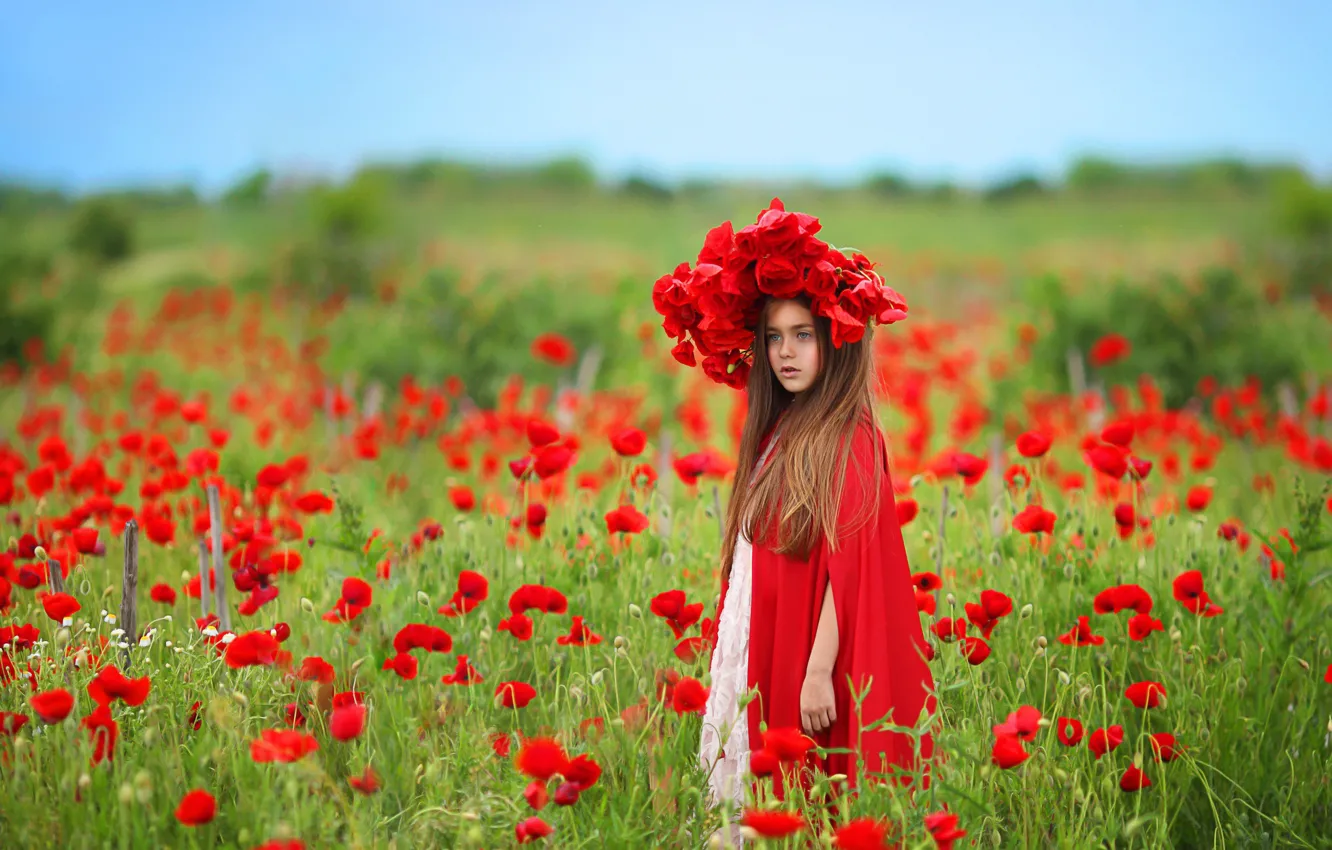 Фото обои поле, цветы, природа, маки, девочка